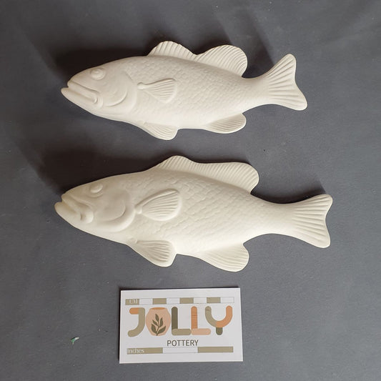 Basic Fish