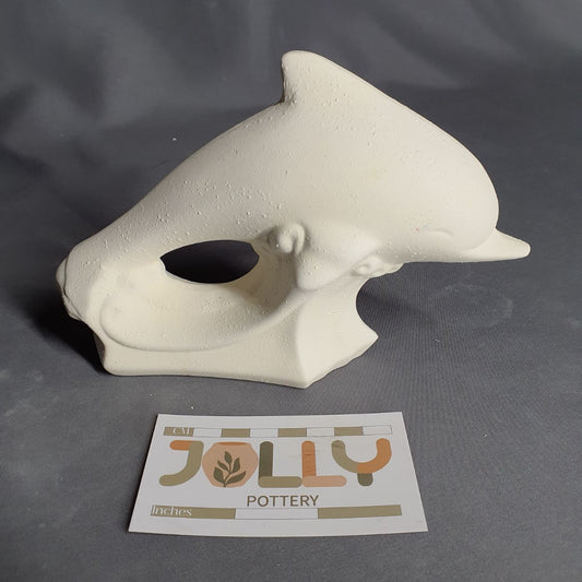 Dolphin