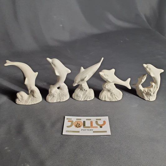 Small Dolphins