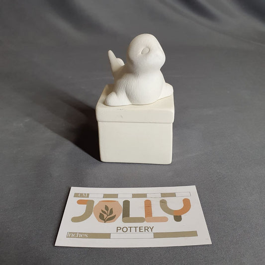 Seal on Cube