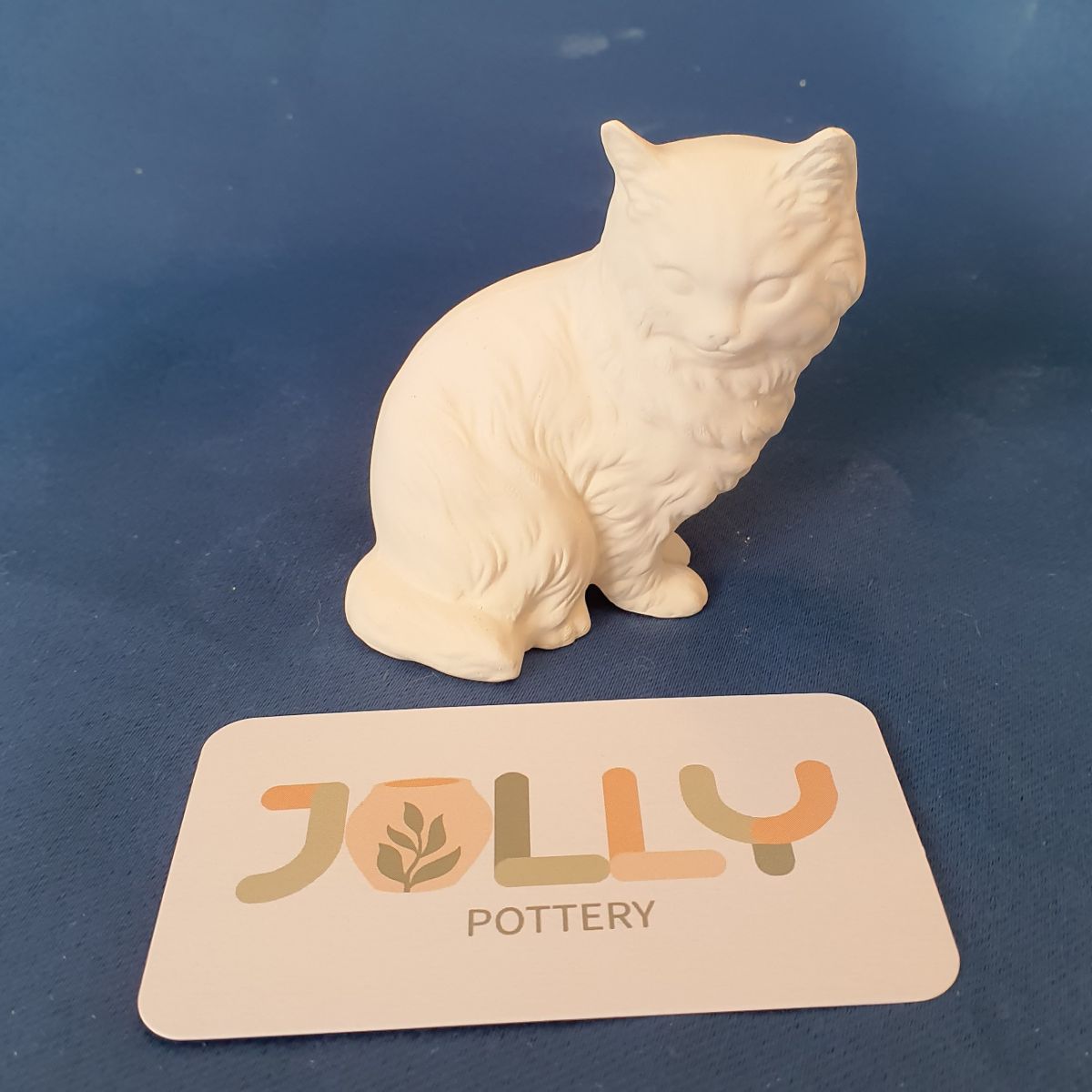 Small Cat