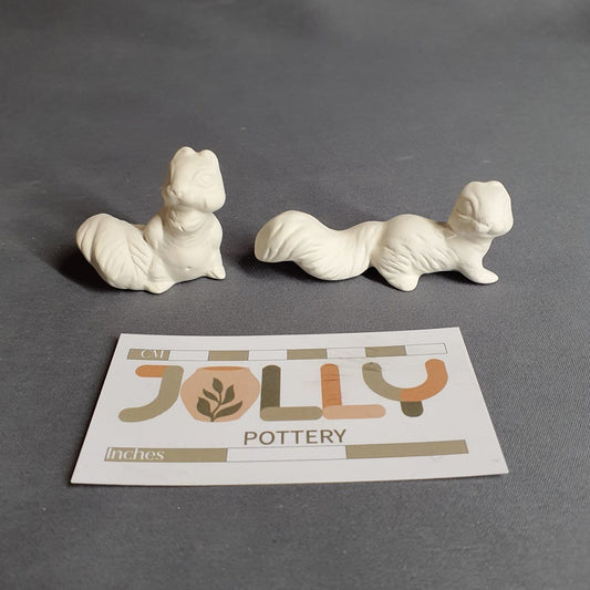 Small Squirrels