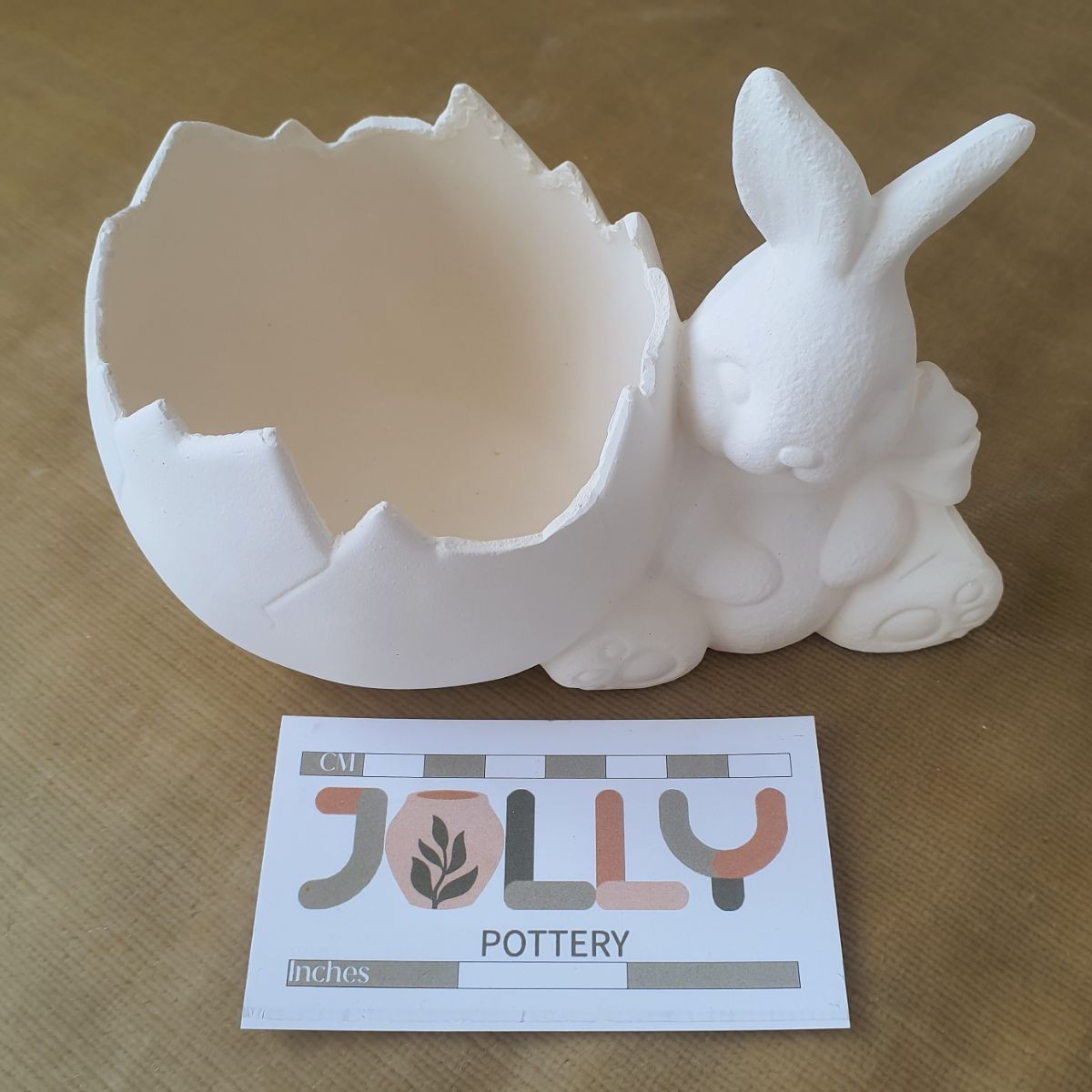 Bunny and Cracked Egg