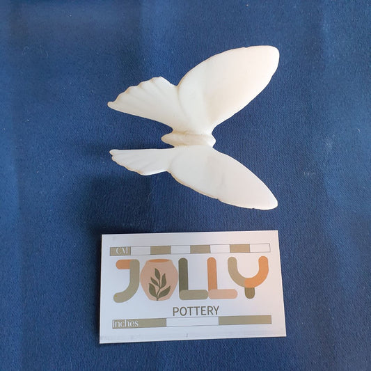 Butterfly 2