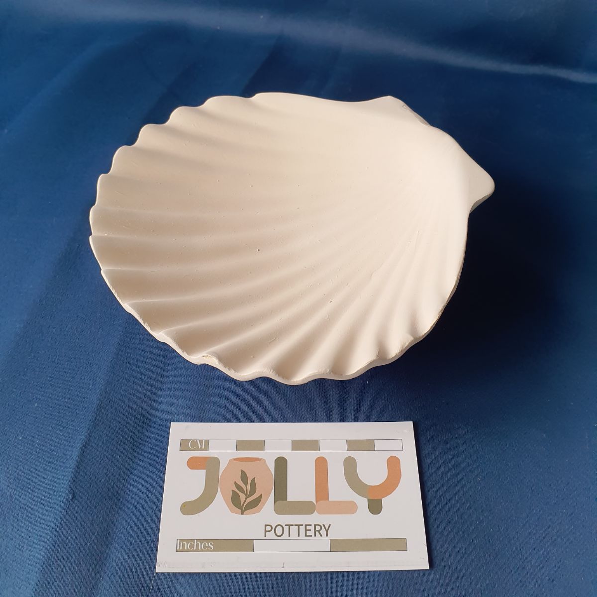 Seashell Dish