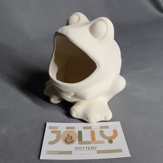 Frog Sponge Holder