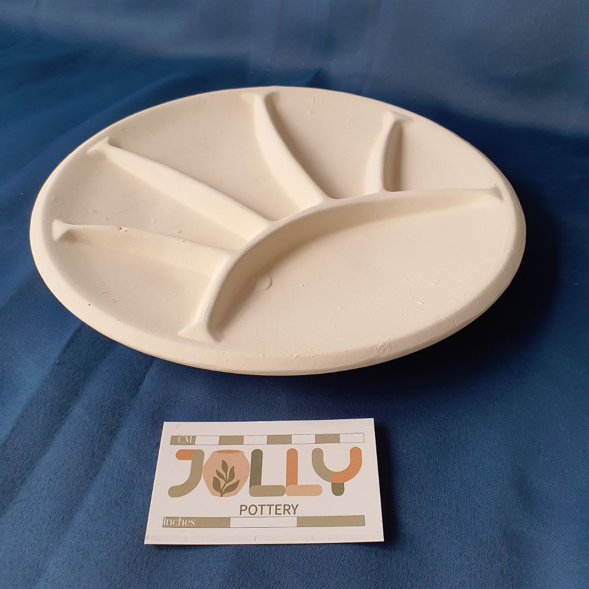 Large Divided Plate