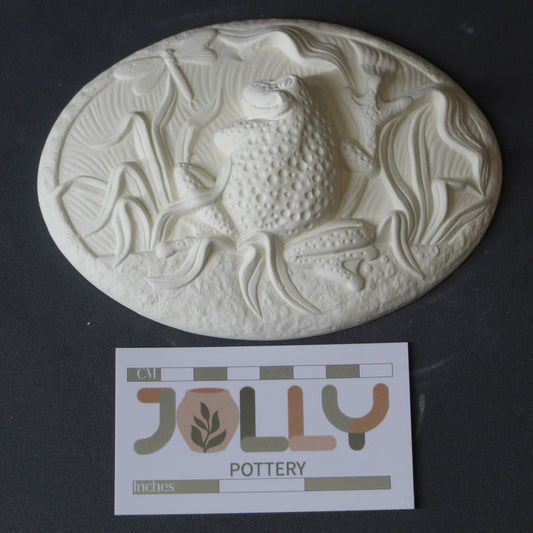 Oval Plate Toad