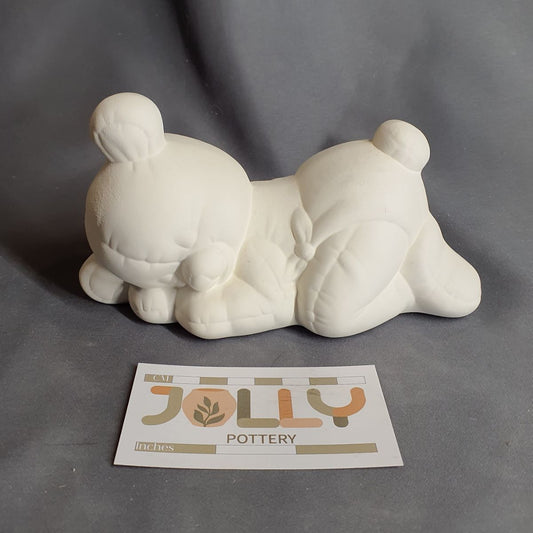 Sleeping Teddy Bear