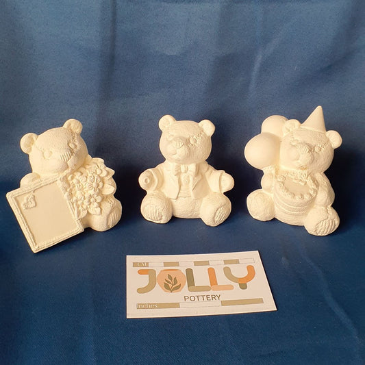 Special Occasion Bears
