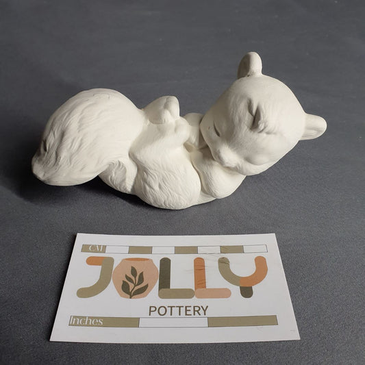 Sleeping Squirrel