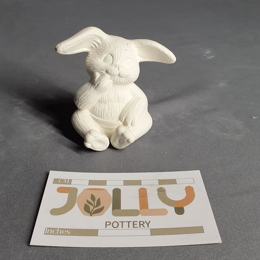 Baby Bunny