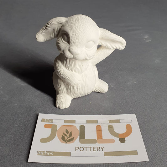 Rabbit