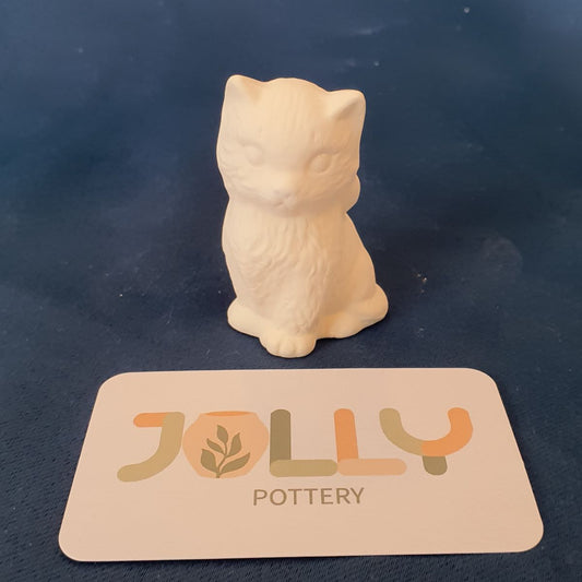 Mini Cat